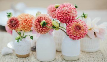 Handmade Pottery Gift Guide